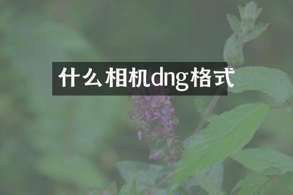 什么相机dng格式