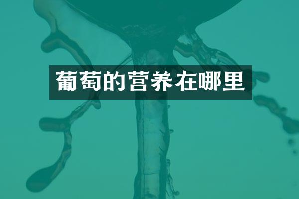 葡萄的营养在哪里