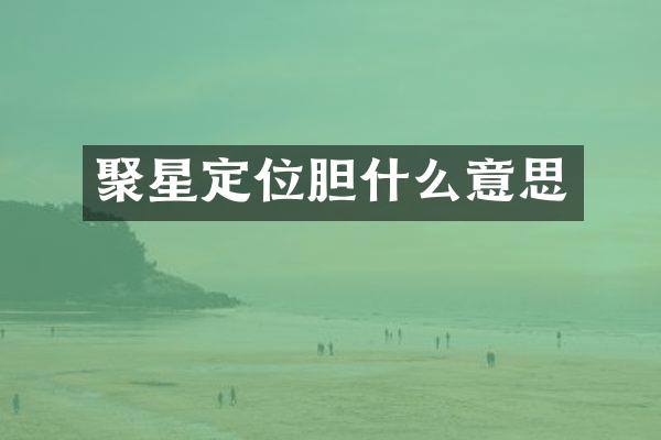 聚星定位胆什么意思