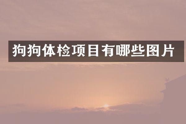 狗狗体检项目有哪些图片