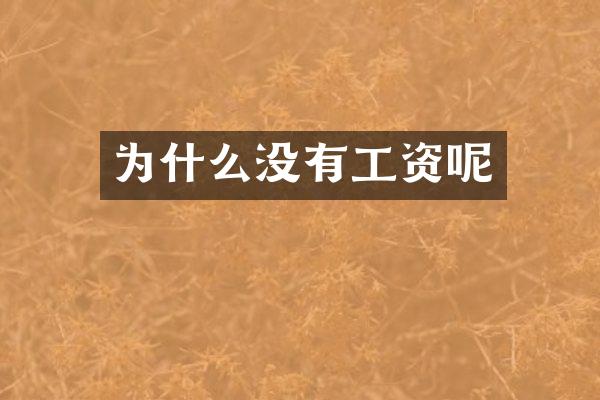 为什么没有工资呢