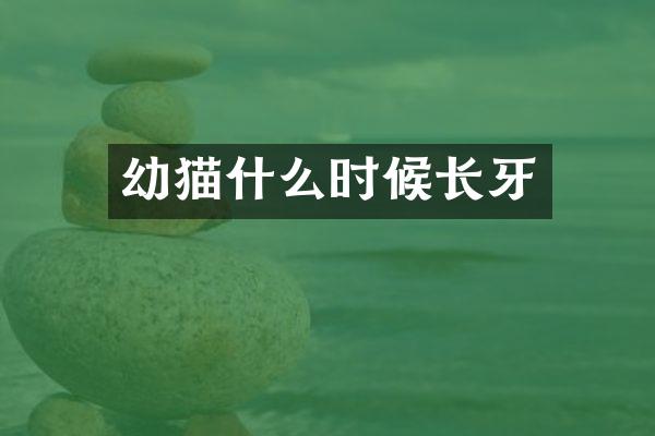 幼猫什么时候长牙