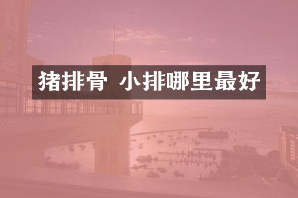 猪排骨 小排哪里最好