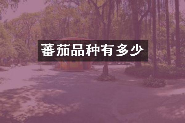 蕃茄品种有多少