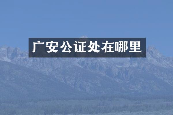 广安公证处在哪里