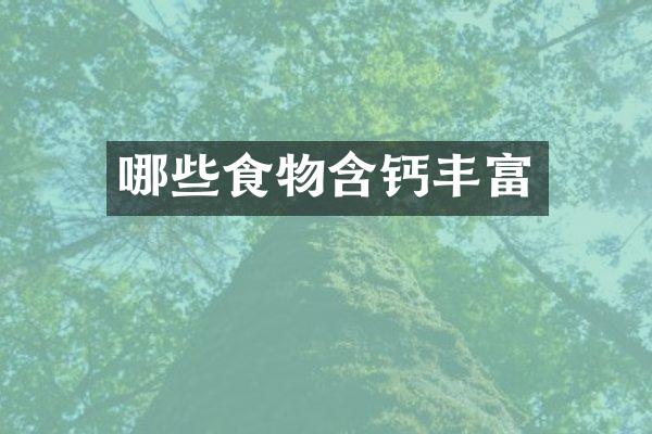 哪些食物含钙丰富