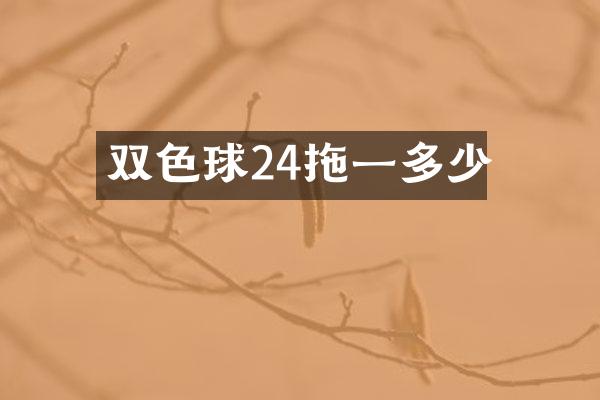双色球24拖一多少