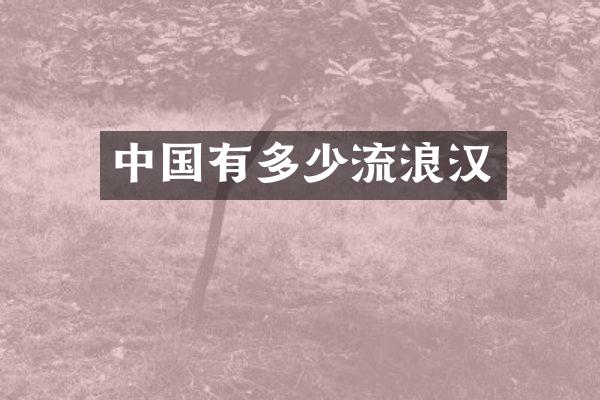 中国有多少流浪汉