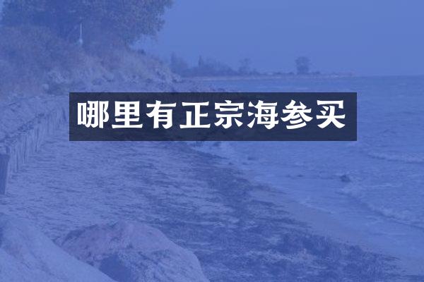 哪里有正宗海参买