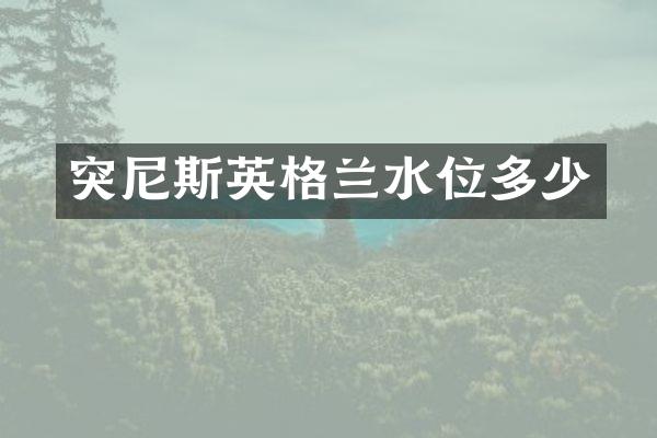 突尼斯英格兰水位多少