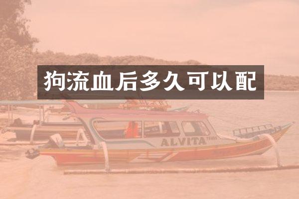 狗流血后多久可以配