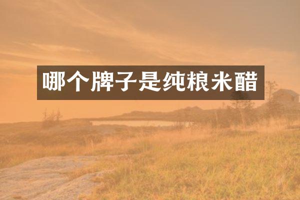 哪个牌子是纯粮米醋