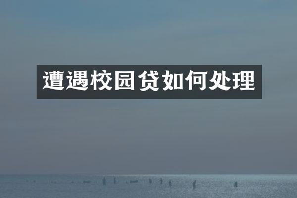 遭遇校园贷如何处理