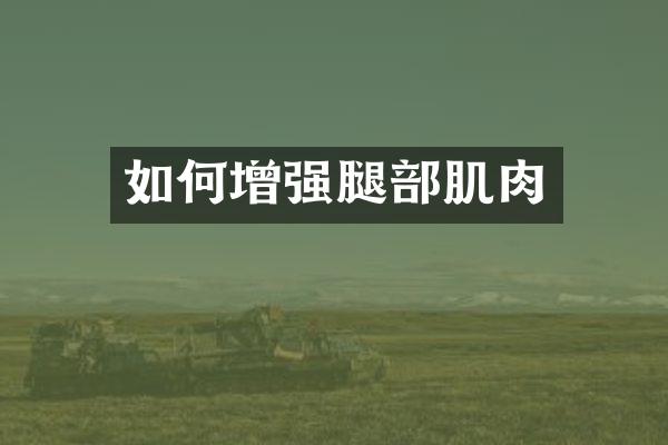 如何增强腿部肌肉