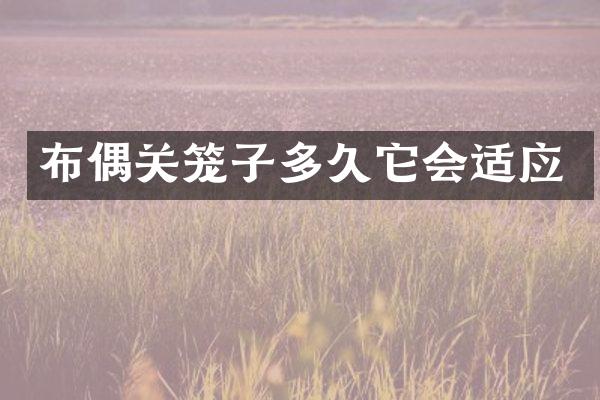 布偶关笼子多久它会适应