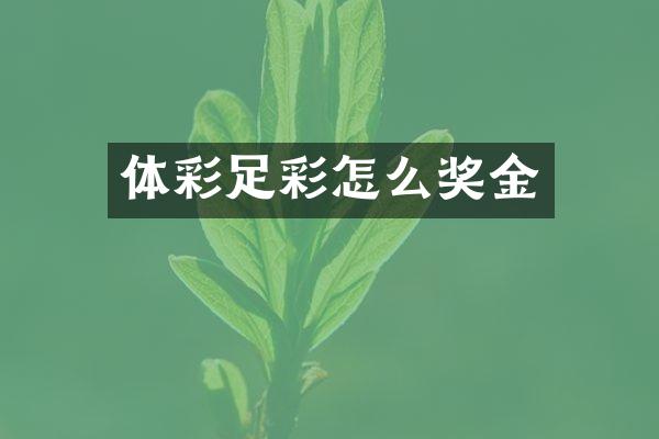 体彩足彩怎么奖金
