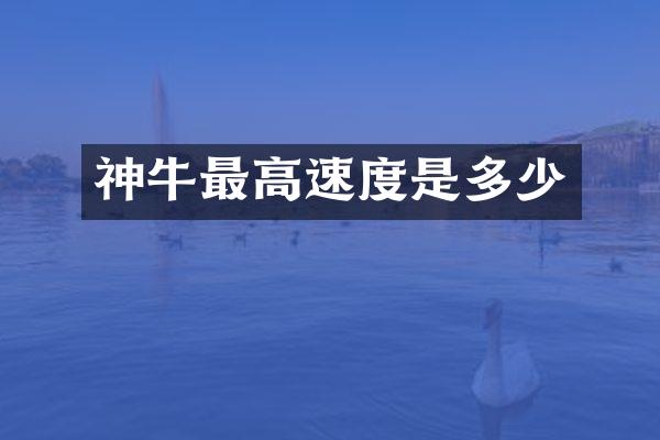 神牛最高速度是多少