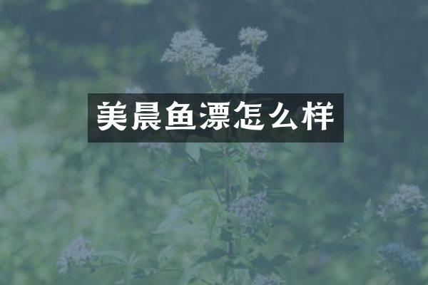 美晨鱼漂怎么样