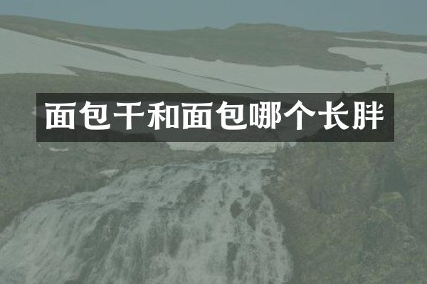 面包干和面包哪个长胖