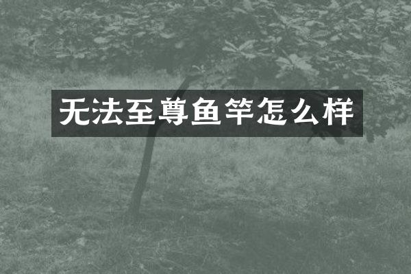 无法至尊鱼竿怎么样