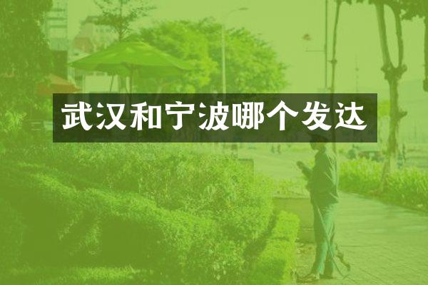 武汉和宁波哪个发达