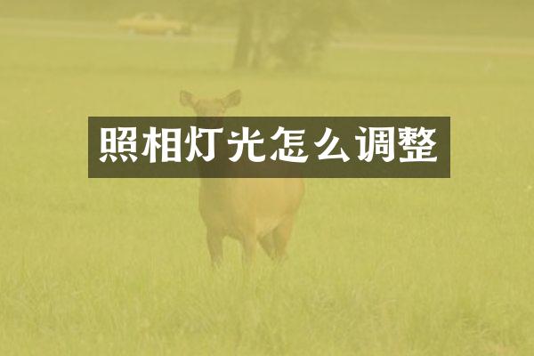 照相灯光怎么调整