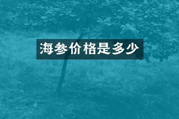 海参价格是多少