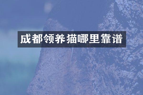 成都领养猫哪里靠谱