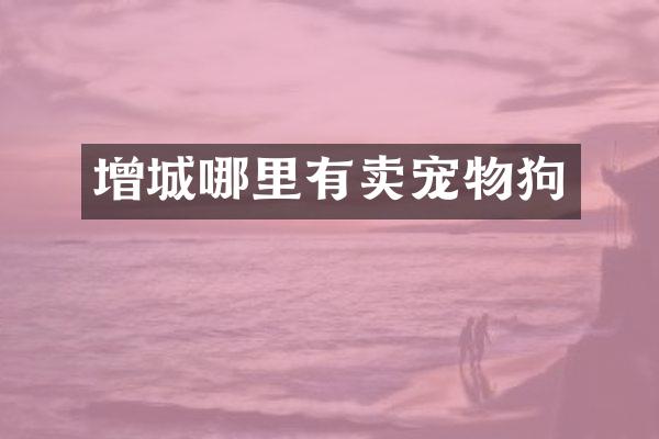 增城哪里有卖宠物狗