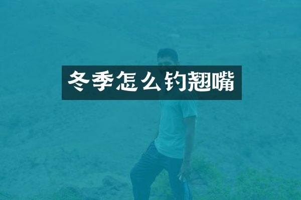 冬季怎么钓翘嘴