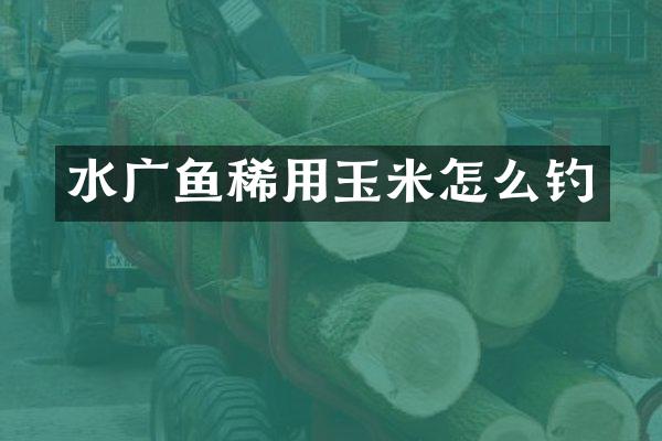水广鱼稀用玉米怎么钓