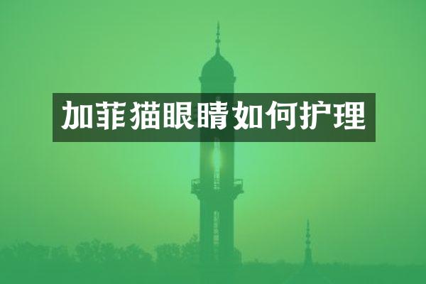 加菲猫眼睛如何护理