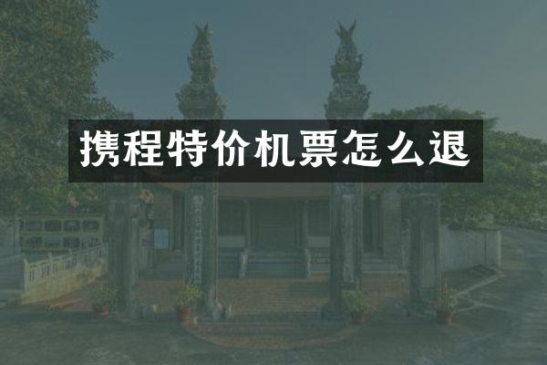 携程特价机票怎么退