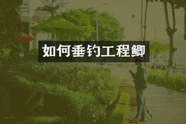 如何垂钓工程鲫