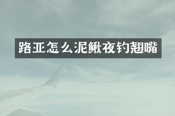 路亚怎么泥鳅夜钓翘嘴