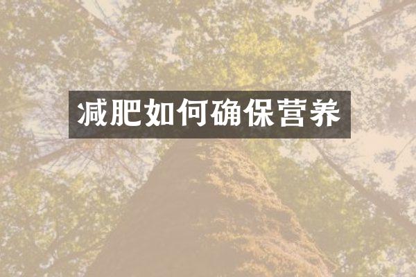 减肥如何确保营养