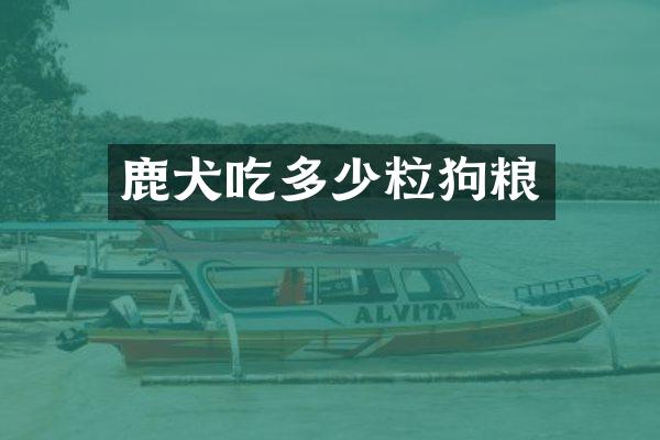 鹿犬吃多少粒狗粮