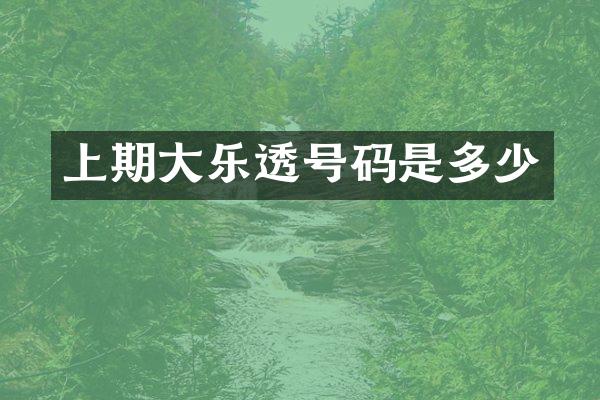 上期大号码是多少