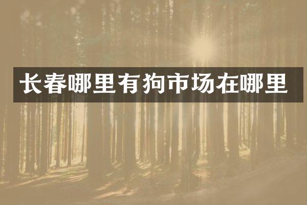 长春哪里有狗市场在哪里