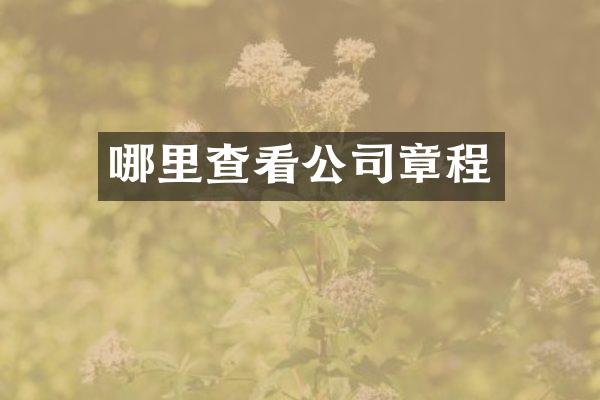 哪里查看公司章程