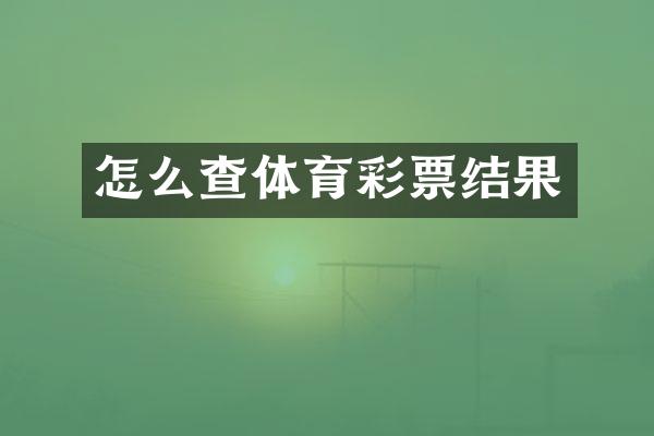 怎么查体育彩票结果