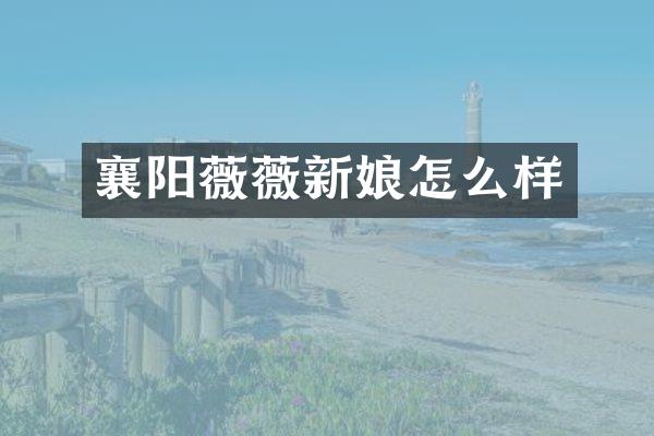 襄阳薇薇新娘怎么样