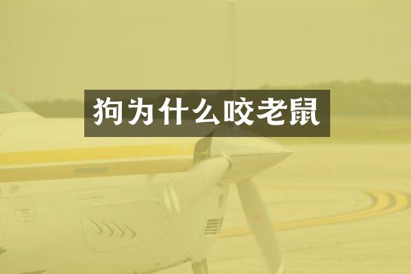 狗为什么咬老鼠