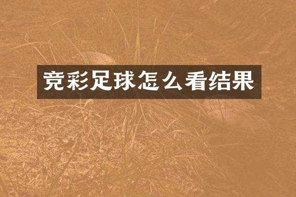 竞彩足球怎么看结果