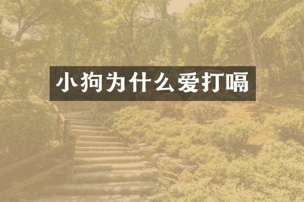 小狗为什么爱打嗝