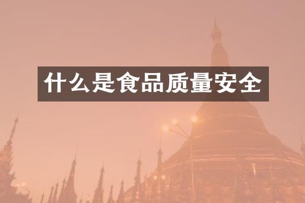什么是食品质量安全