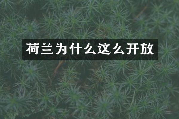 荷兰为什么这么开放