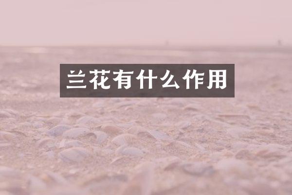 兰花有什么作用