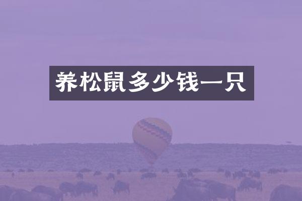 养松鼠多少钱一只