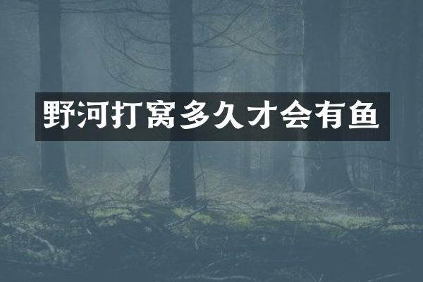 野河打窝多久才会有鱼